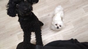 夜のお時間　2025/4/24