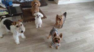 朝のお時間　2025/4/25