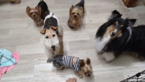 夜のお時間　2025/4/25