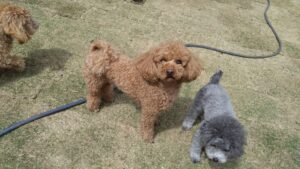 午前のお時間　2025/4/26