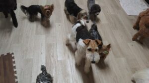 夜のお時間 2025/4/26