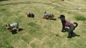 午前のお時間　2025/4/27