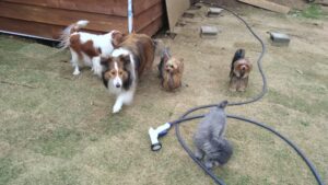 午前のお時間　2025/4/28