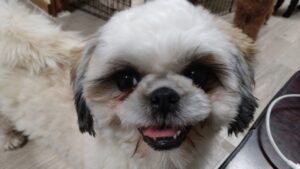 夜のお時間　2025/4/28