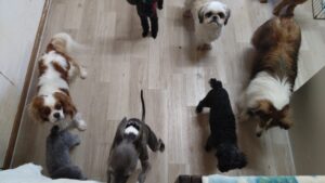 午前のお時間　2025/4/29