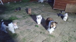 夜のお時間　2025/4/29