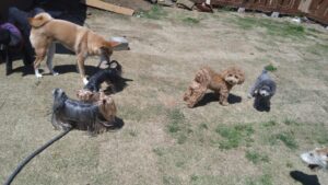 朝のお時間　2025/4/30