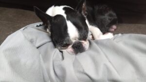 夜のお時間　2025/4/30