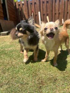 午前のお時間　2025/5/7