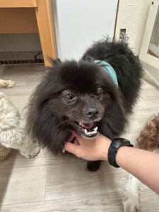 午前のお時間　2025/5/15