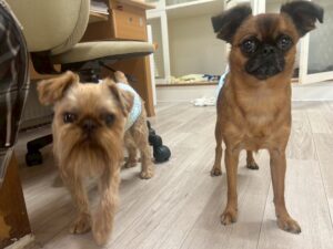 朝のお時間　2025/5/23