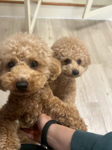 朝のお時間　2025/5/27