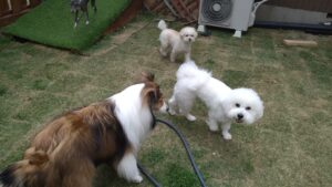 午前のお時間　2025/5/1