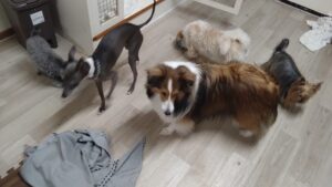 夜のお時間　2025/5/1