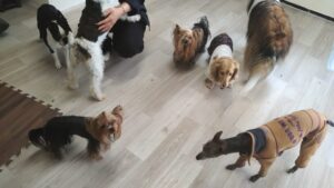 午前のお時間　2025/5/2