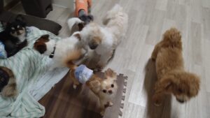 夜のお時間　2025/5/2