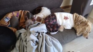 午前のお時間　2025/5/3