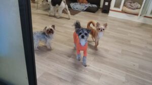 夜のお時間　2025/5/3