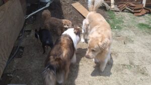 午前のお時間　2025/5/4