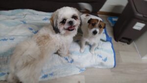 夜のお時間　2025/5/4