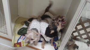 午前のお時間　2025/5/5