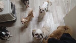 朝のお時間　2025/5/6