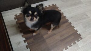 夜のお時間　2025/5/6