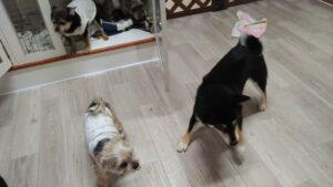 夜のお時間 2025/5/7