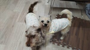 夜のお時間　2025/5/8