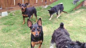 朝のお時間　2025/5/9