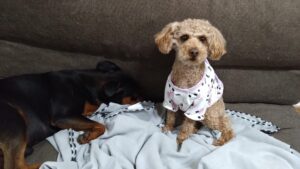 夜のお時間　2025/5/9