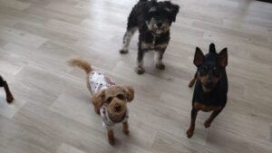 午前のお時間　2025/5/10