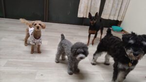 夜のお時間　2025/5/10