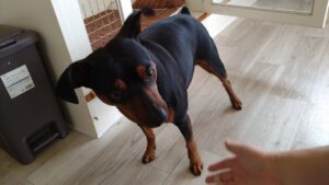 朝のお時間 2025/5/11