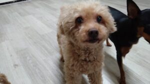 夜のお時間　2025/5/11