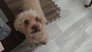 朝のお時間　2025/5/12