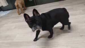 夜のお時間　2025/5/12