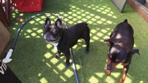 朝のお時間　2025/5/13