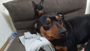 夜のお時間　2025/5/13