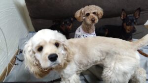 夜のお時間　2025/5/14