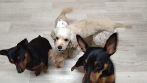 夜のお時間　2025/5/15