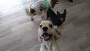 朝のお時間　2025/5/16