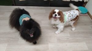 夜のお時間 2025/5/16