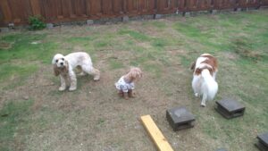 朝のお時間　2025/5/17