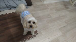 夜のお時間　2025/5/17