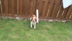 朝のお時間　2025/5/18