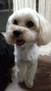 夜のお時間 2025/5/18