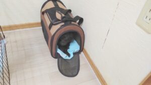 朝のお時間　2025/5/19