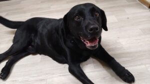 夜のお時間　2025/5/19