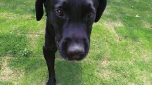 朝のお時間 2025/5/21